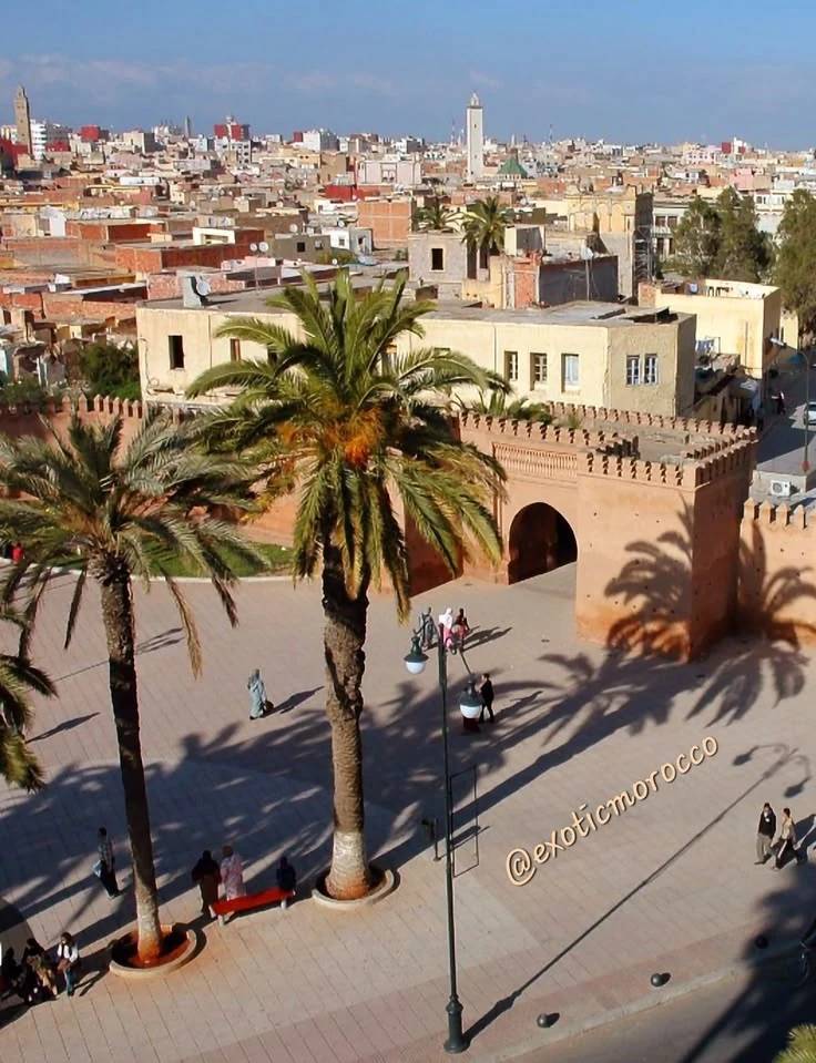 Eastern Morocco city and palm-lined historic square