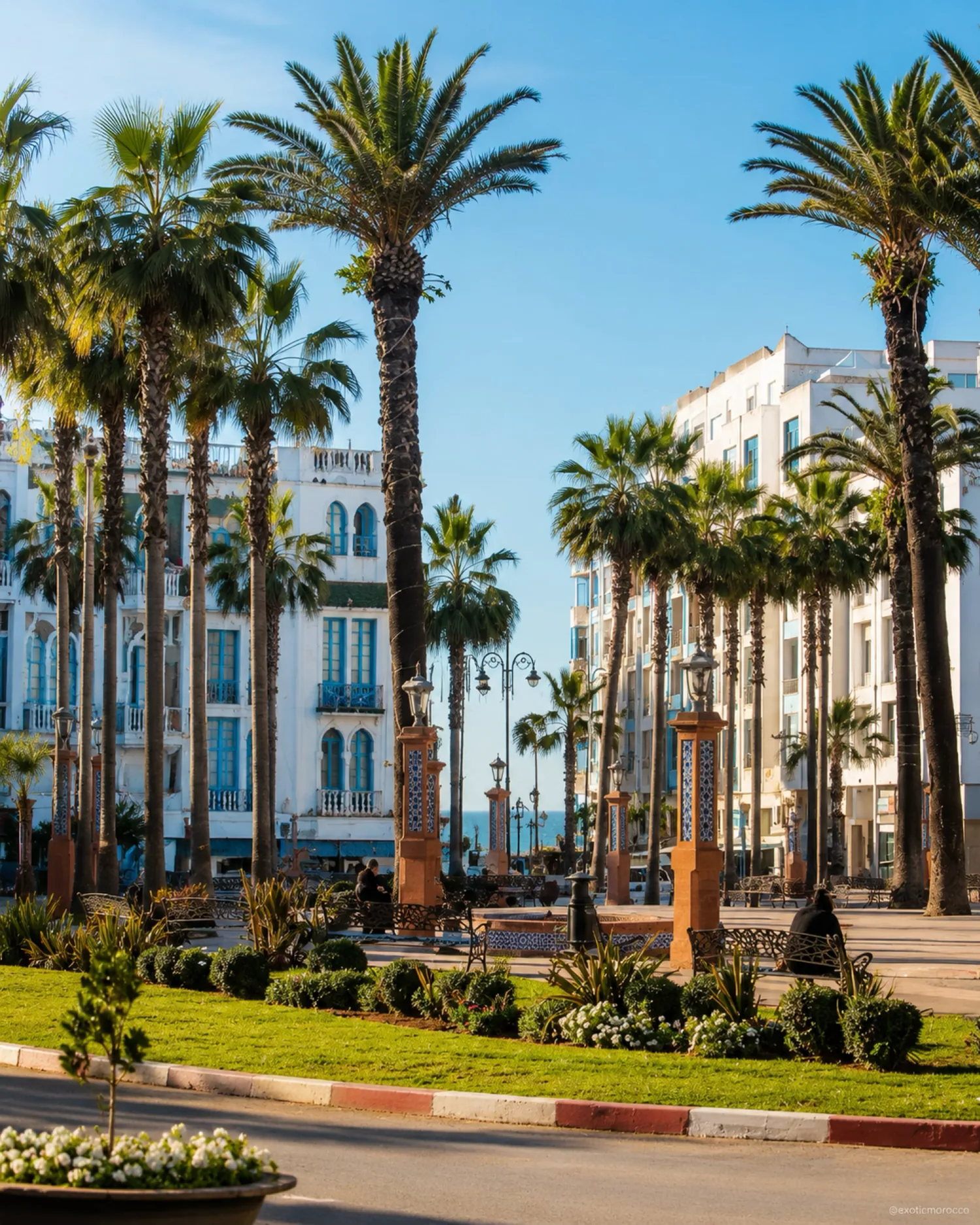 Palm-lined civic avenue in Larache