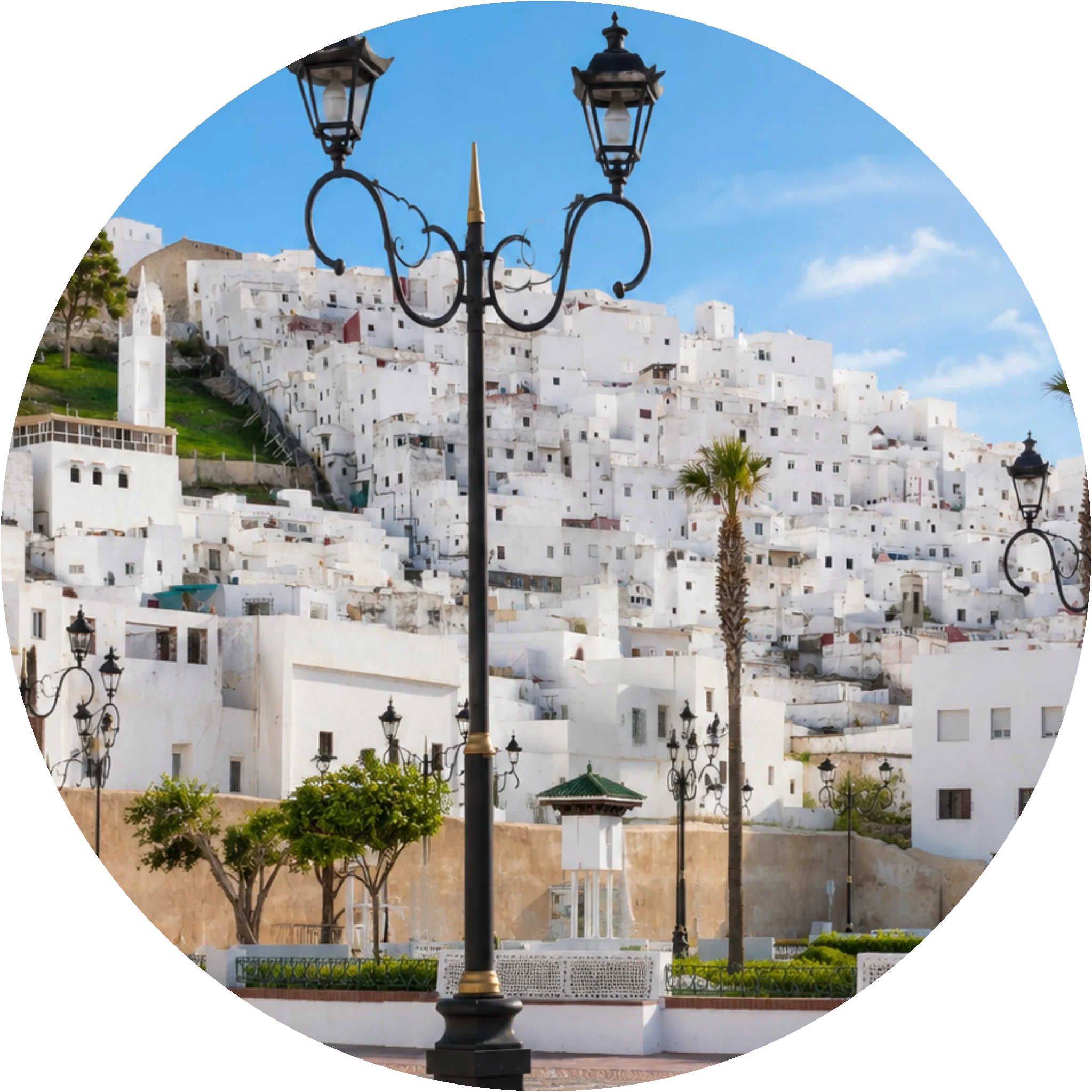White hillside medina of Tétouan